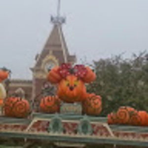 Meet your Posher, Annaliese